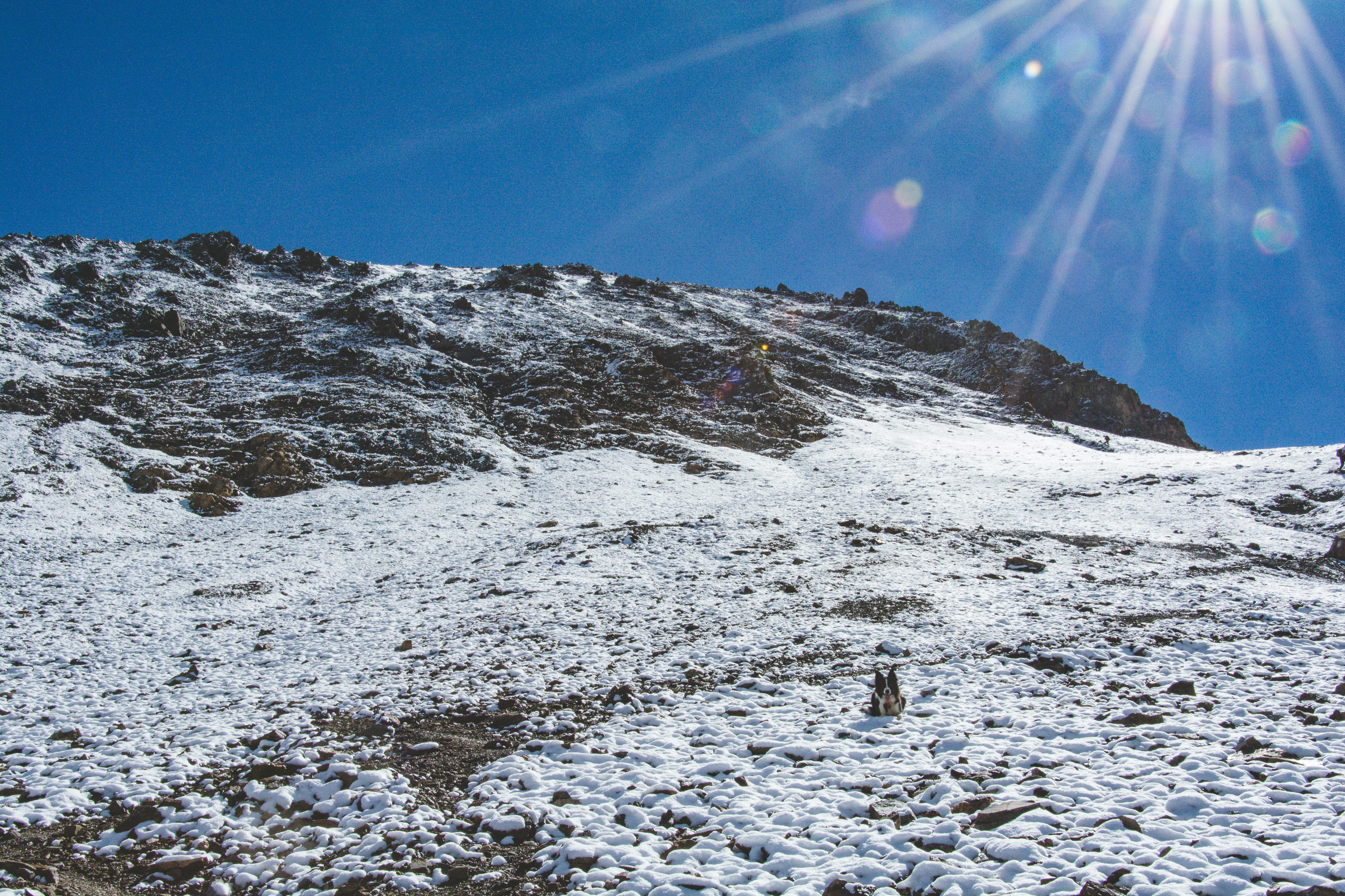 Free Unsplash photo from Jonatan Moerman