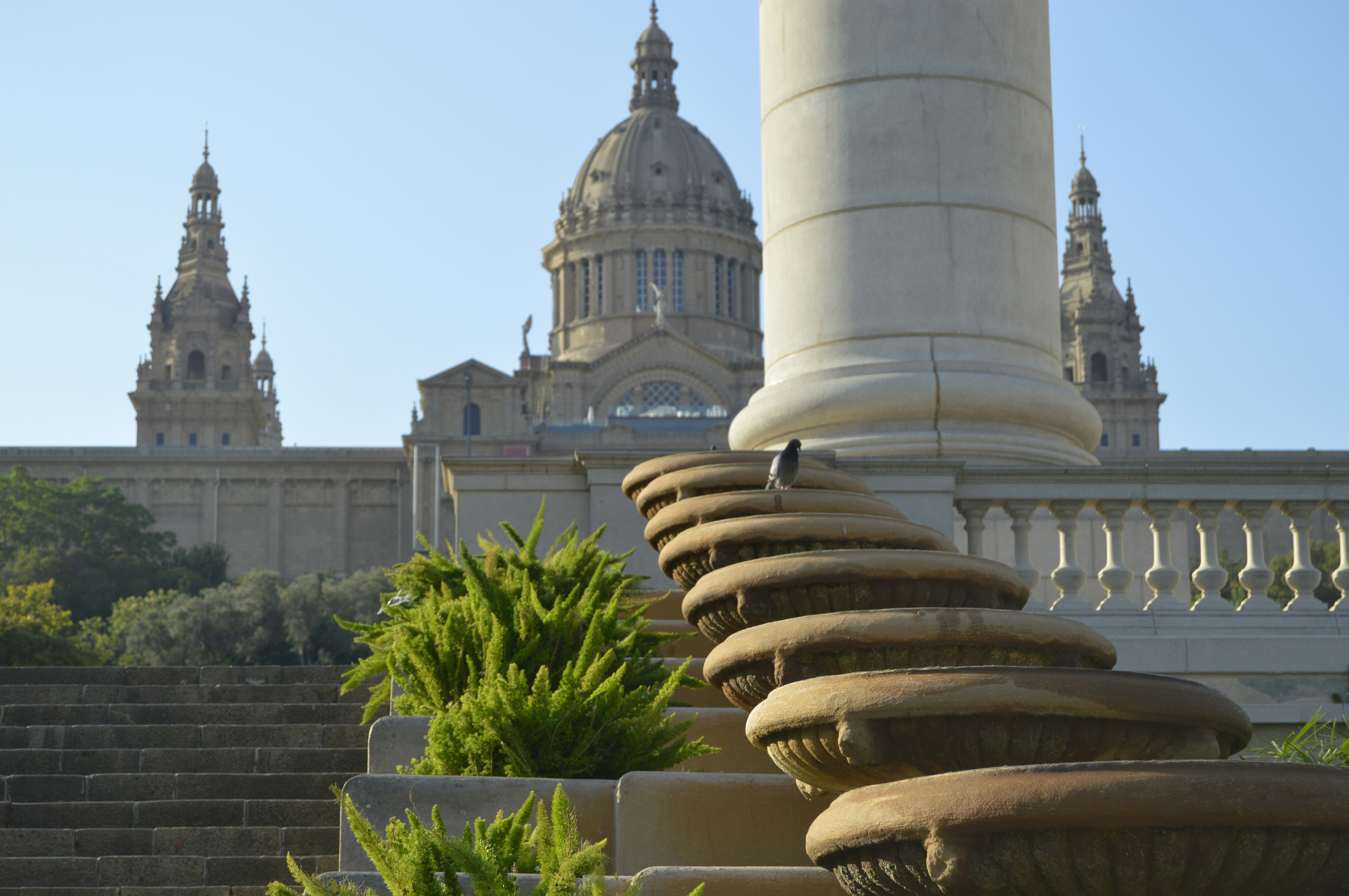 Free Unsplash photo from Cvetilena Gocheva