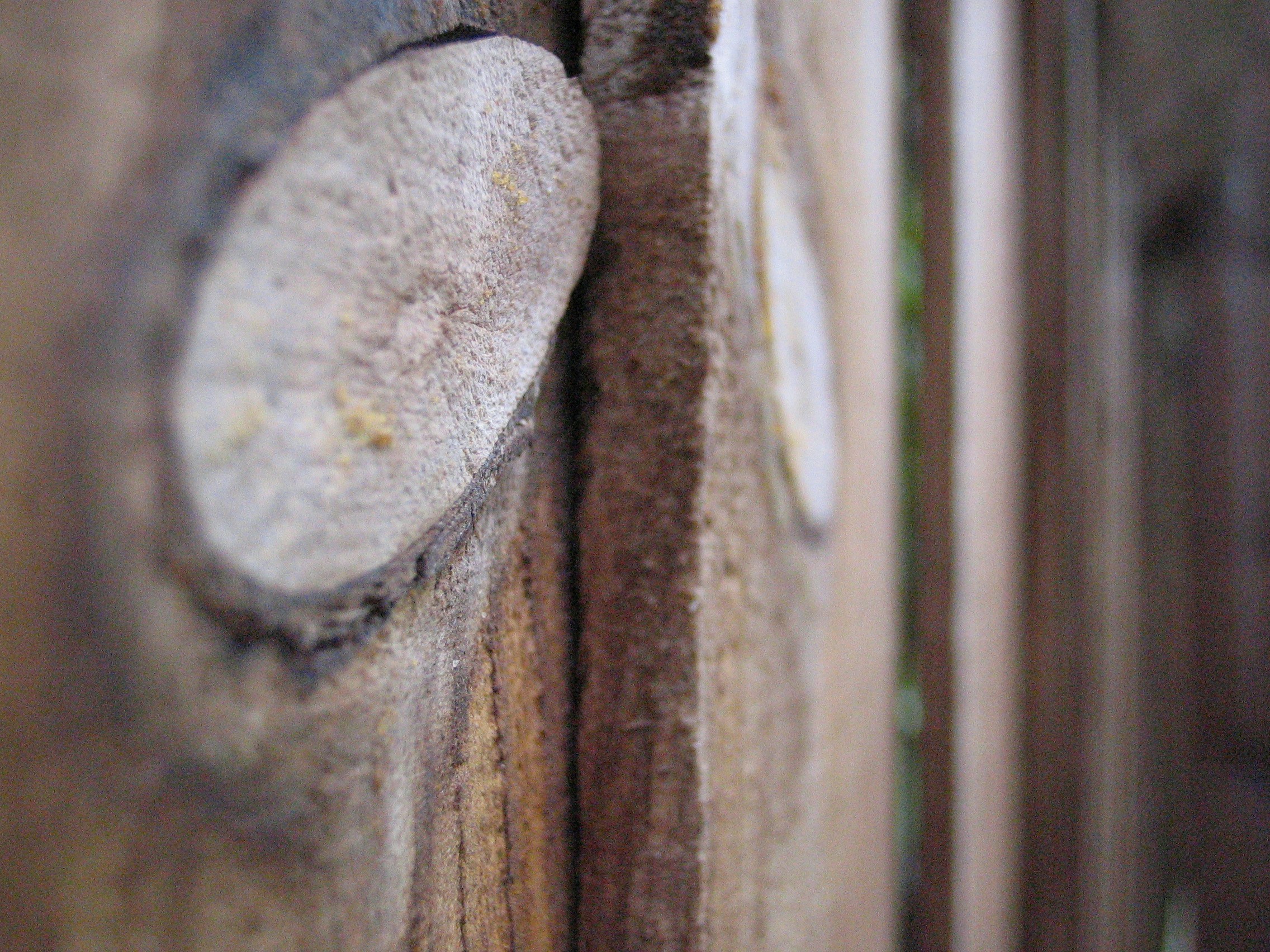 Foto tallada en madera