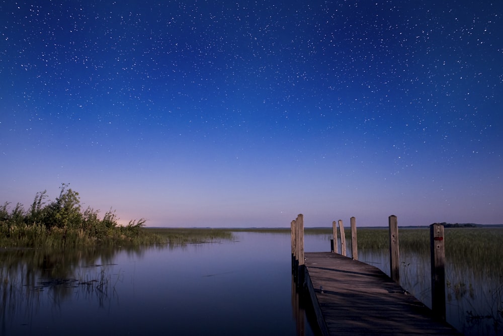 brown dock in body of water during daytime