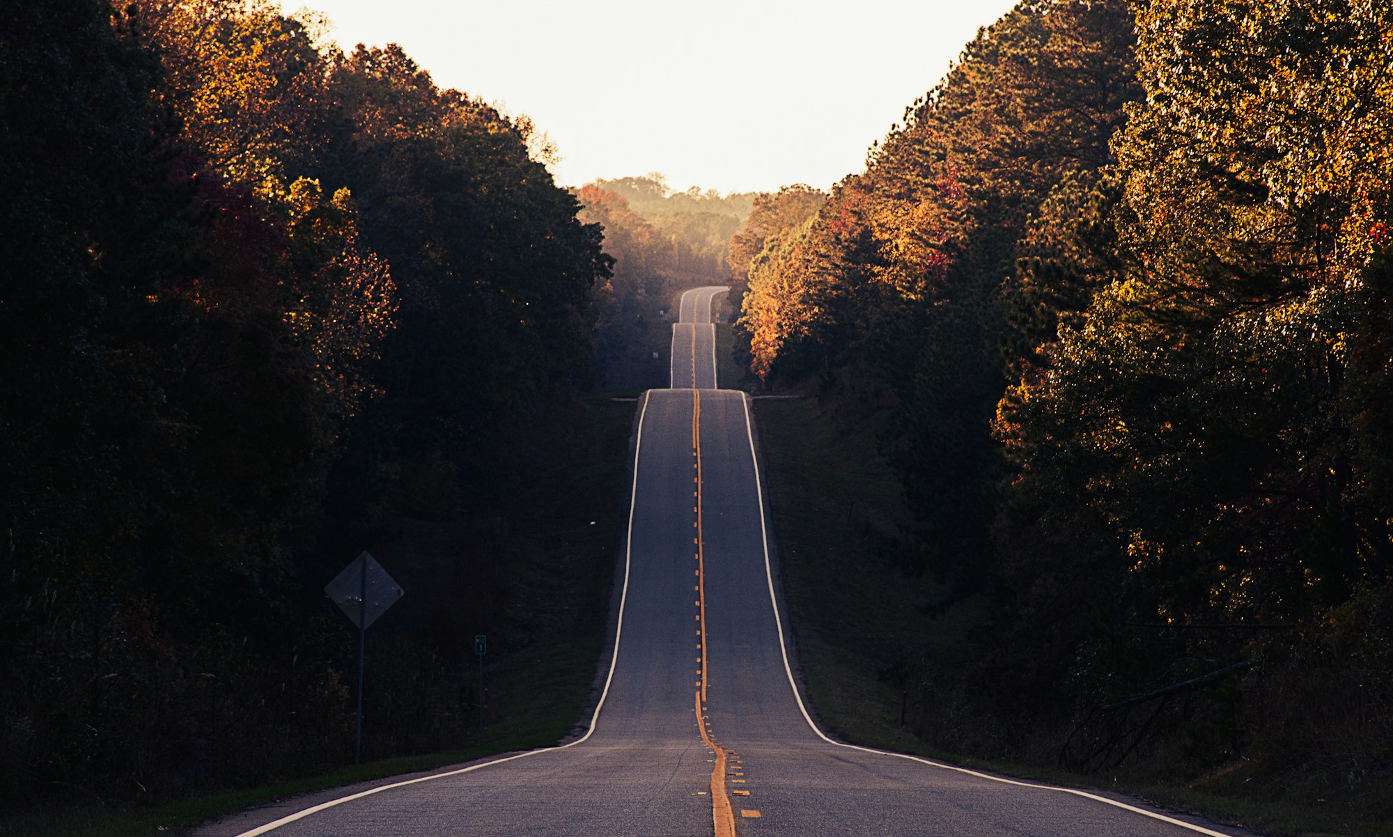 Highway 212 forest road