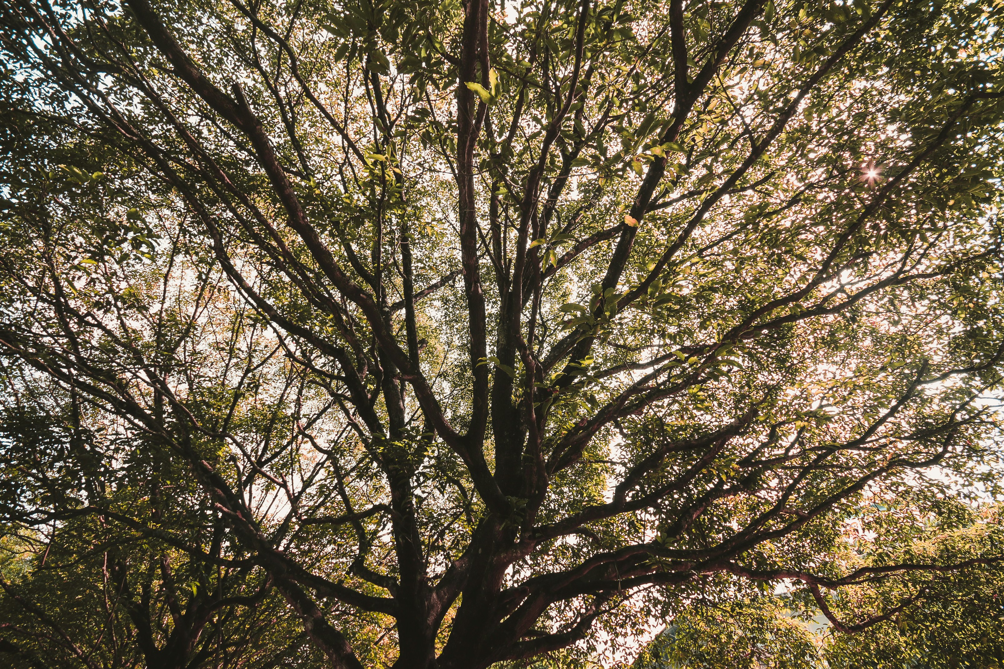 Free Unsplash photo from Rifqi Ali Ridho