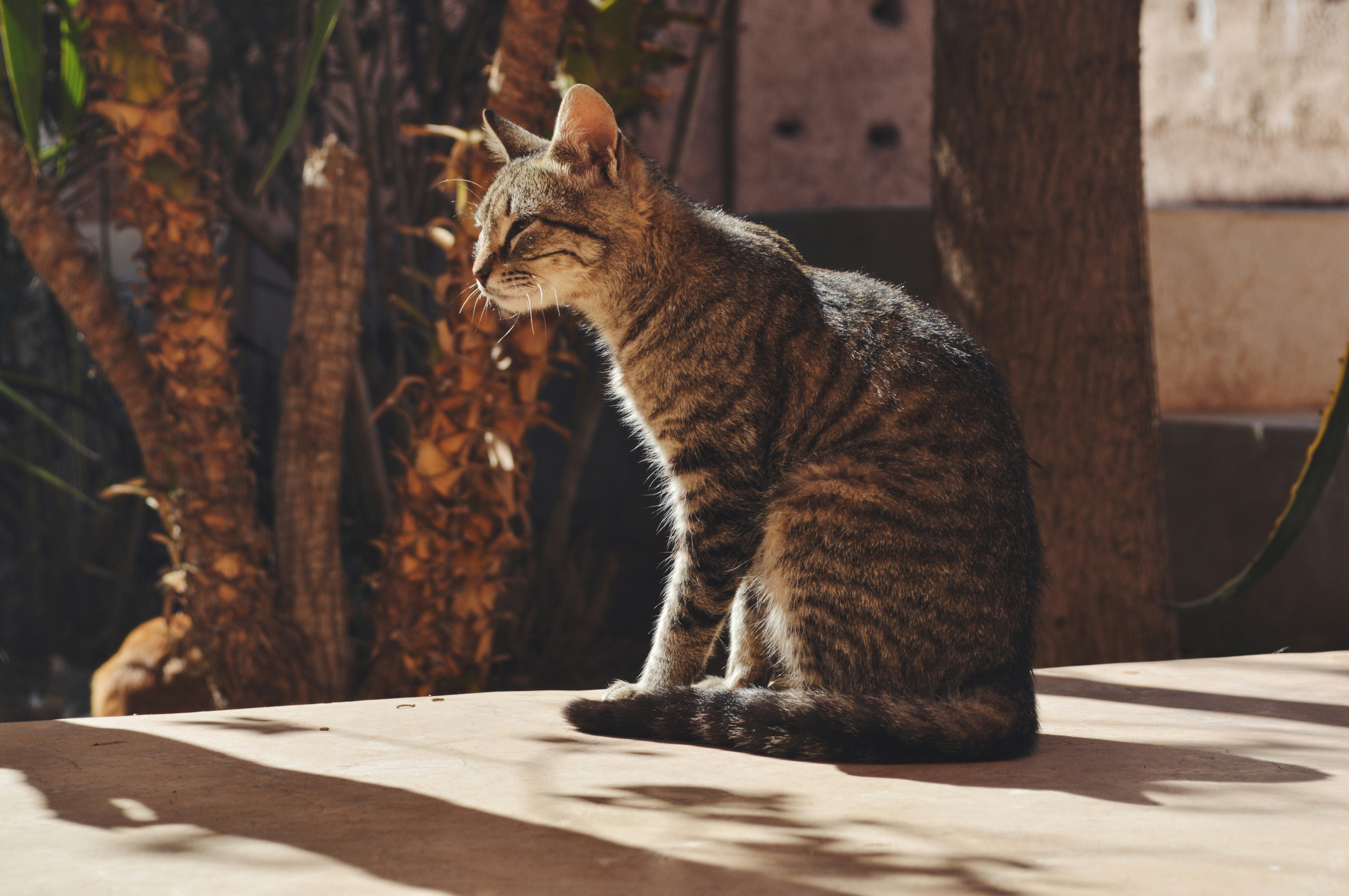 Free Unsplash photo from Conner Evans