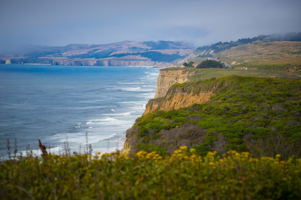 coastline with waving seas