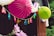 Colorful paper lanterns and letters spelling out 'HAPPY BIRTHDAY' hang from a string. Bright pink and green fans stand out against a wooden background. Below, pink flowers are partially visible, adding a natural touch to the festive decor.
