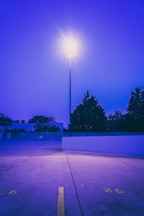 Freshly painted parking lot lines under a bright morning sky.