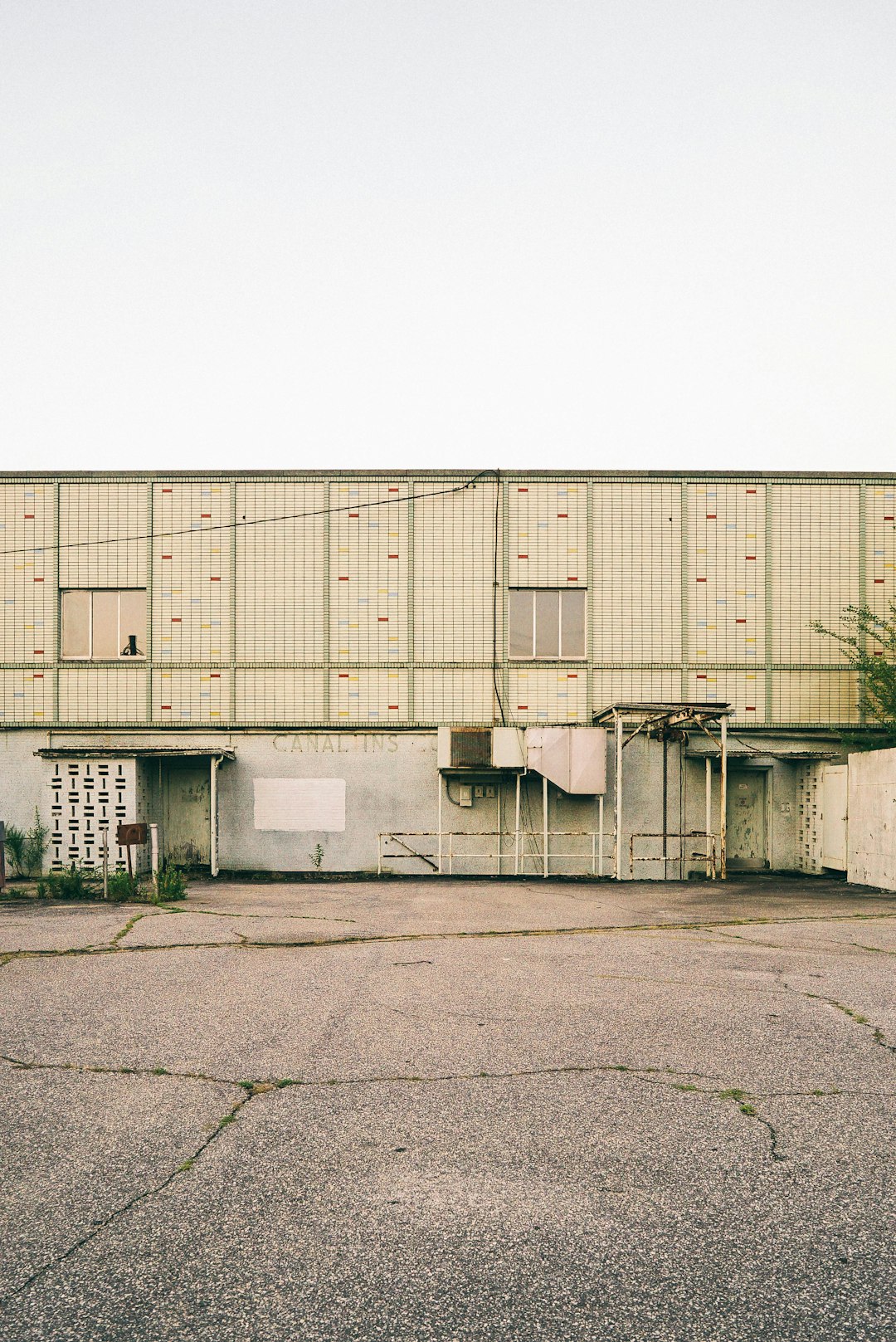 close up photo of green and gray building