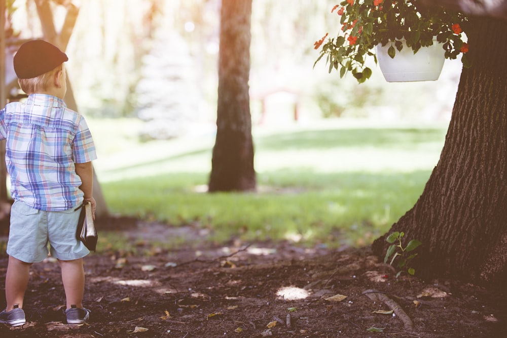 a little boy standing next to a tree