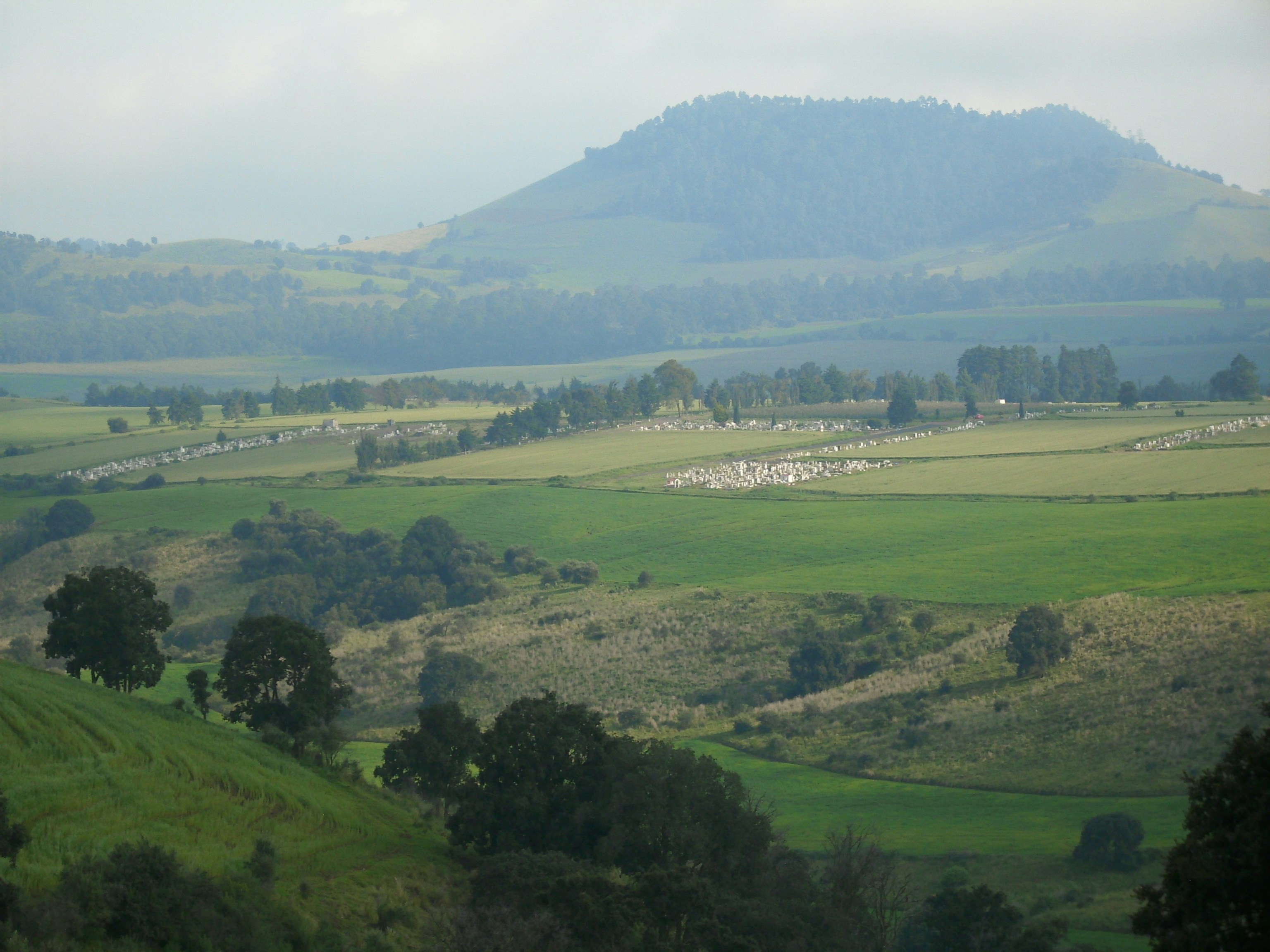 Free Unsplash photo from Luis Zuñiga