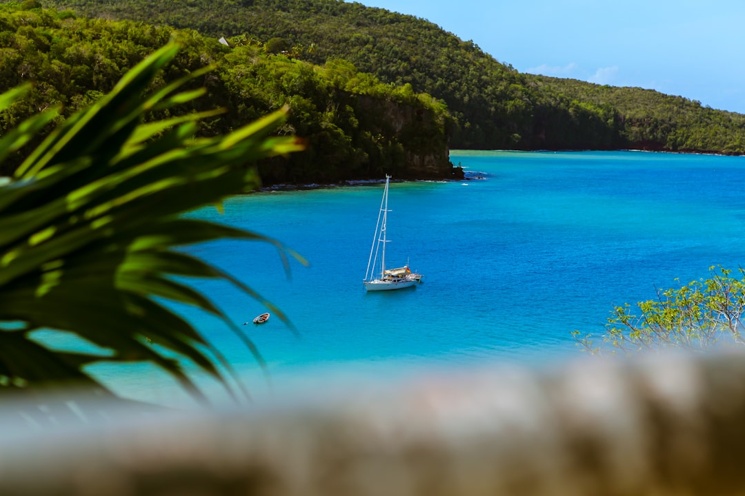boat on body of water beside forest, Yacht on blue lake