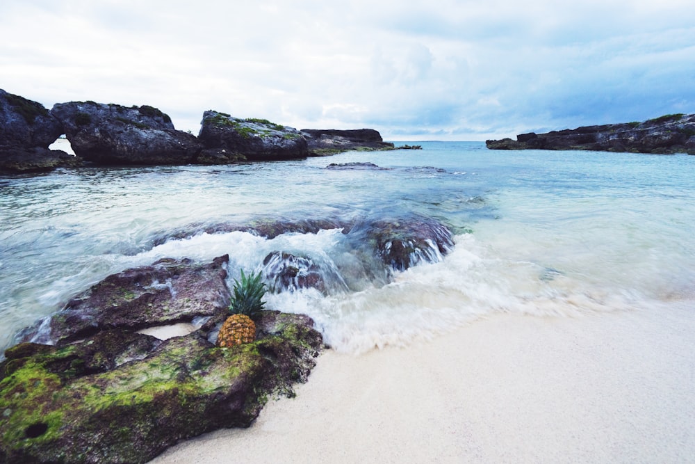 rock formations on water