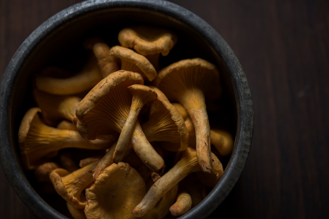 bunch of mushroom in bowl