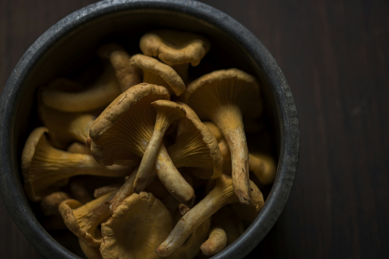 Sigma 105mm F2.8 EX DG OS HSM sample photo. Bunch of mushroom in photography