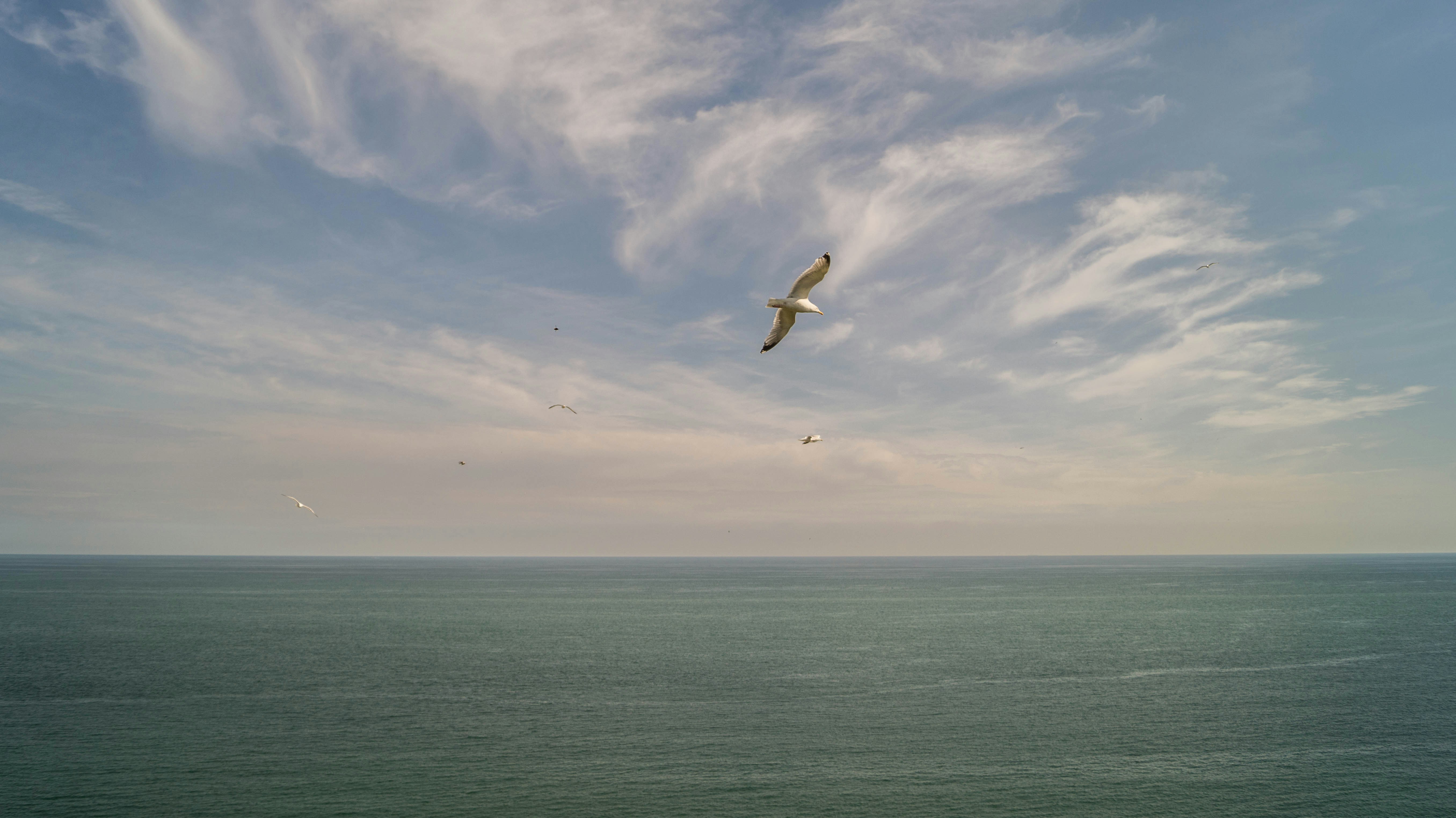 Free Unsplash photo from Wouter de Koster