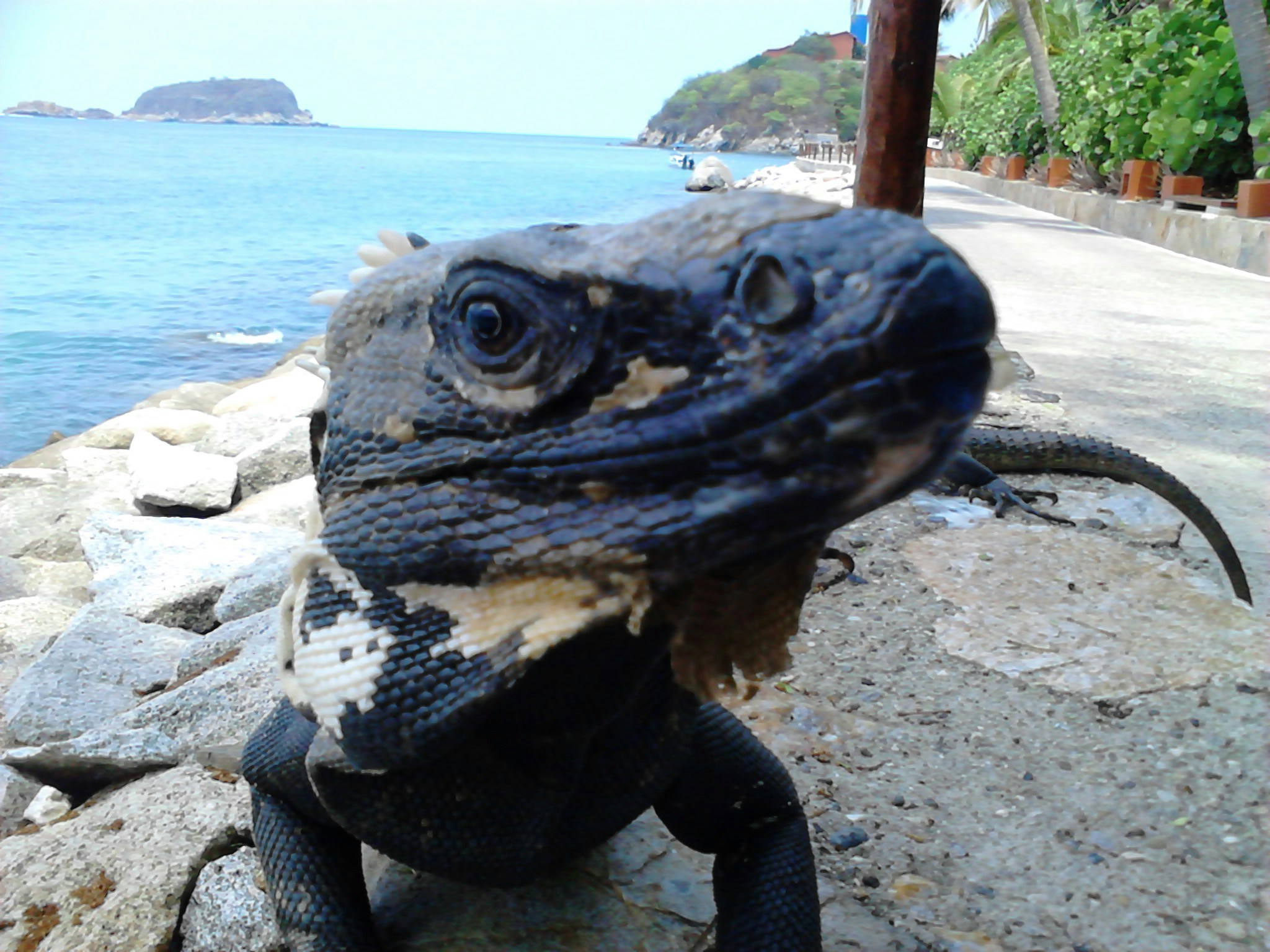 Free Unsplash photo from David Cázares