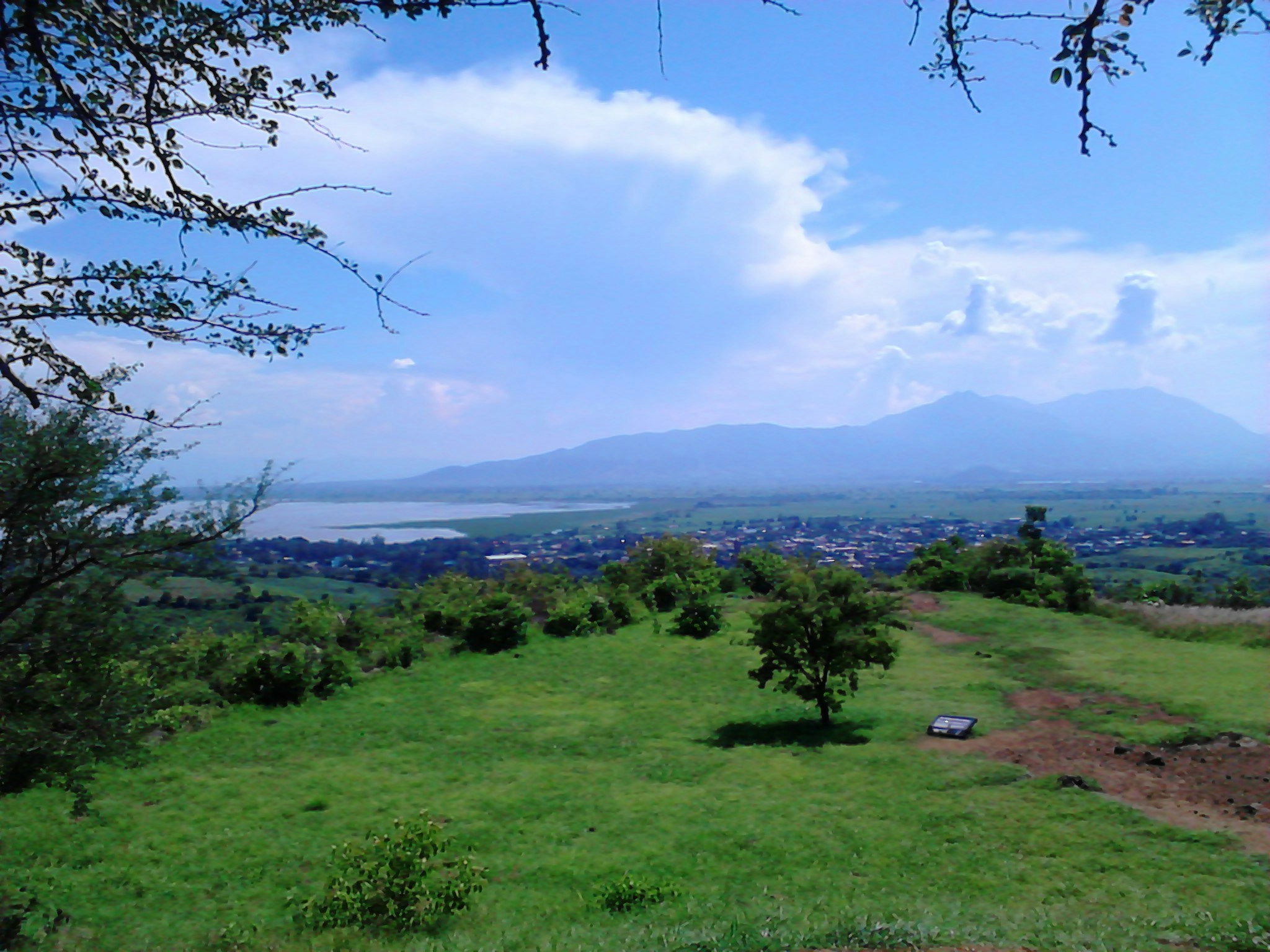 Free Unsplash photo from David Cázares