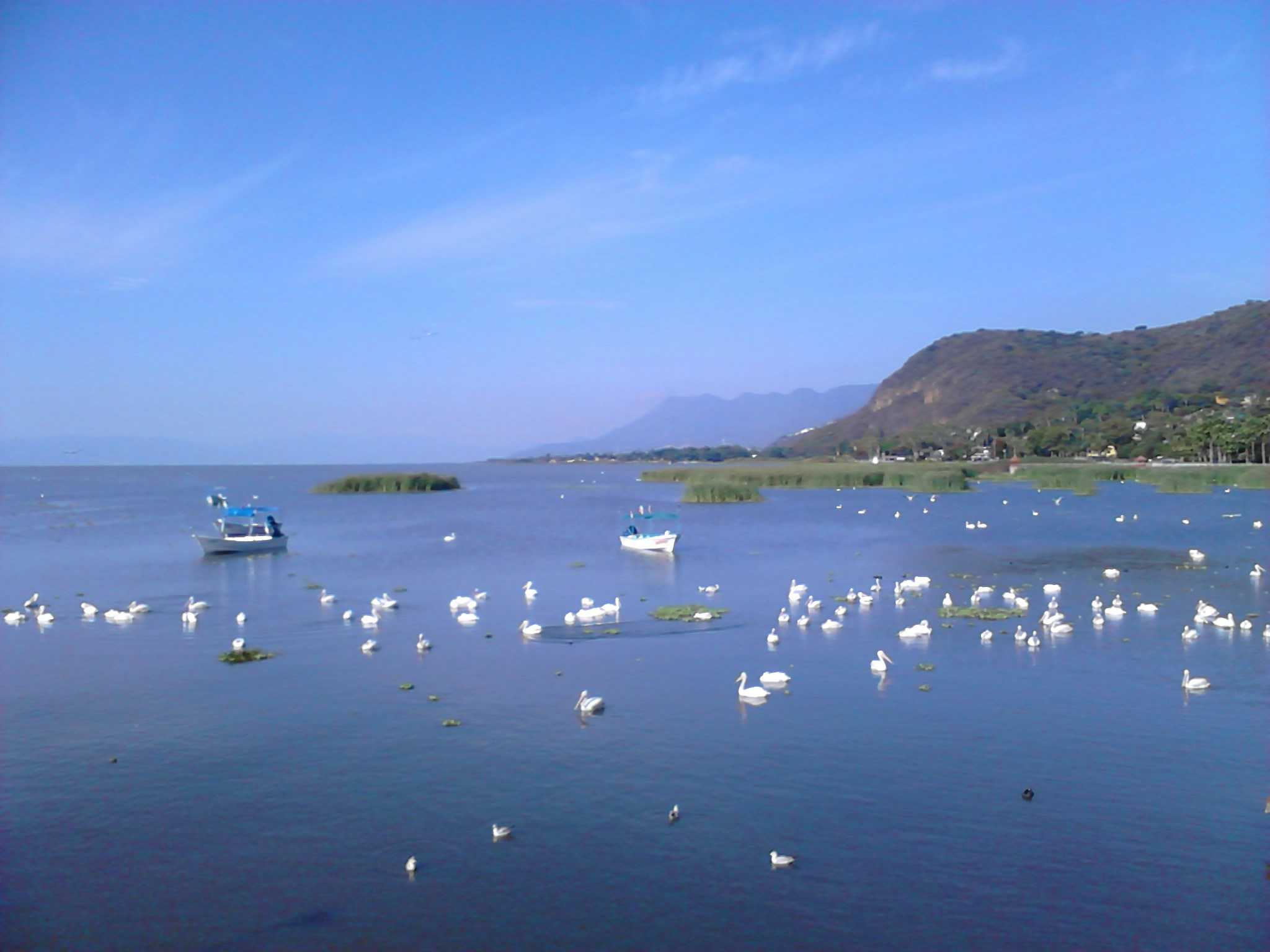 Free Unsplash photo from David Cázares