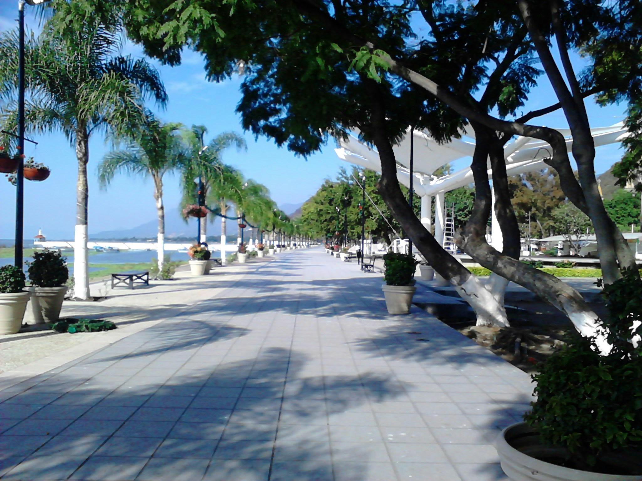 Free Unsplash photo from David Cázares