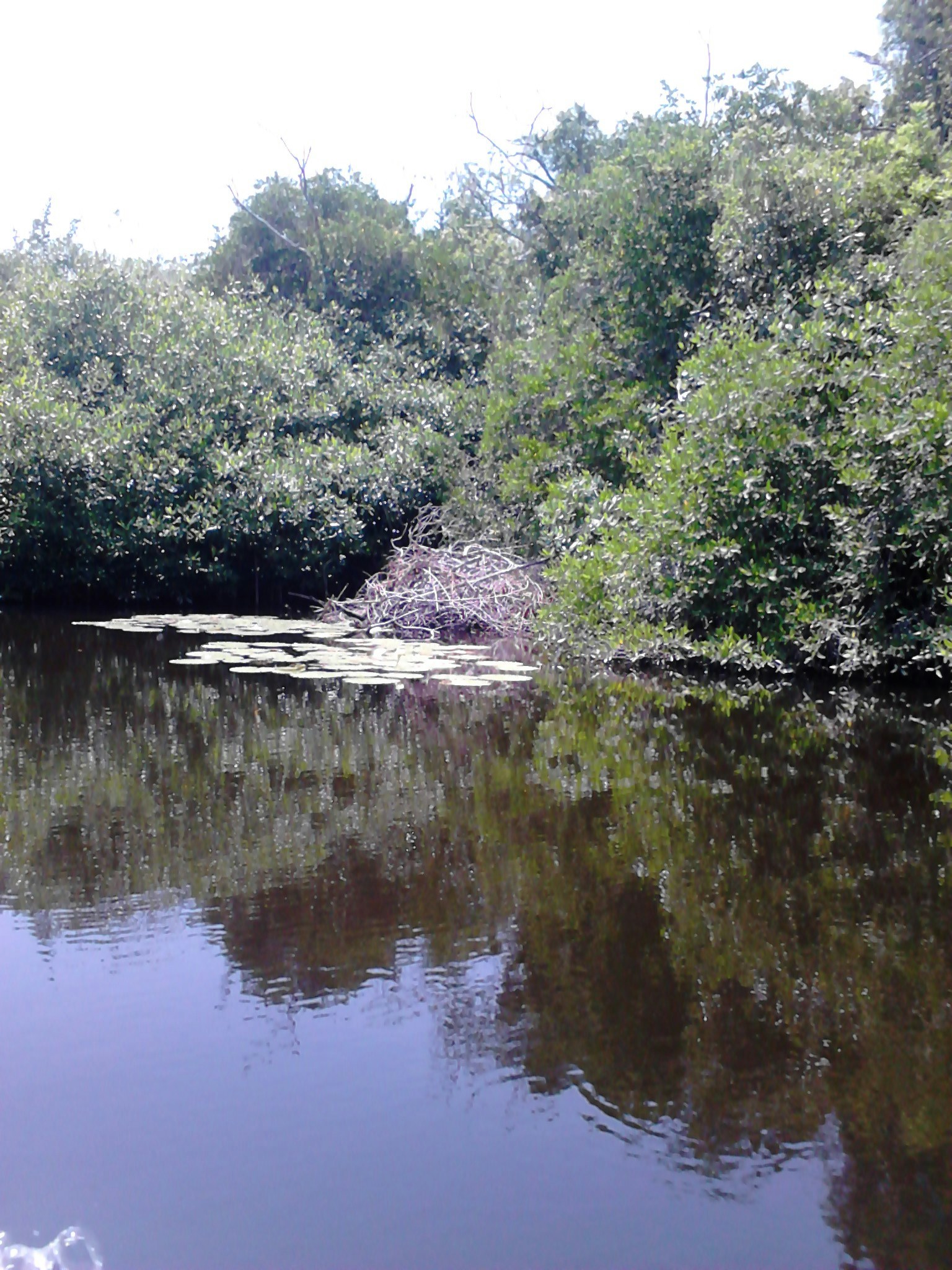 Free Unsplash photo from David Cázares