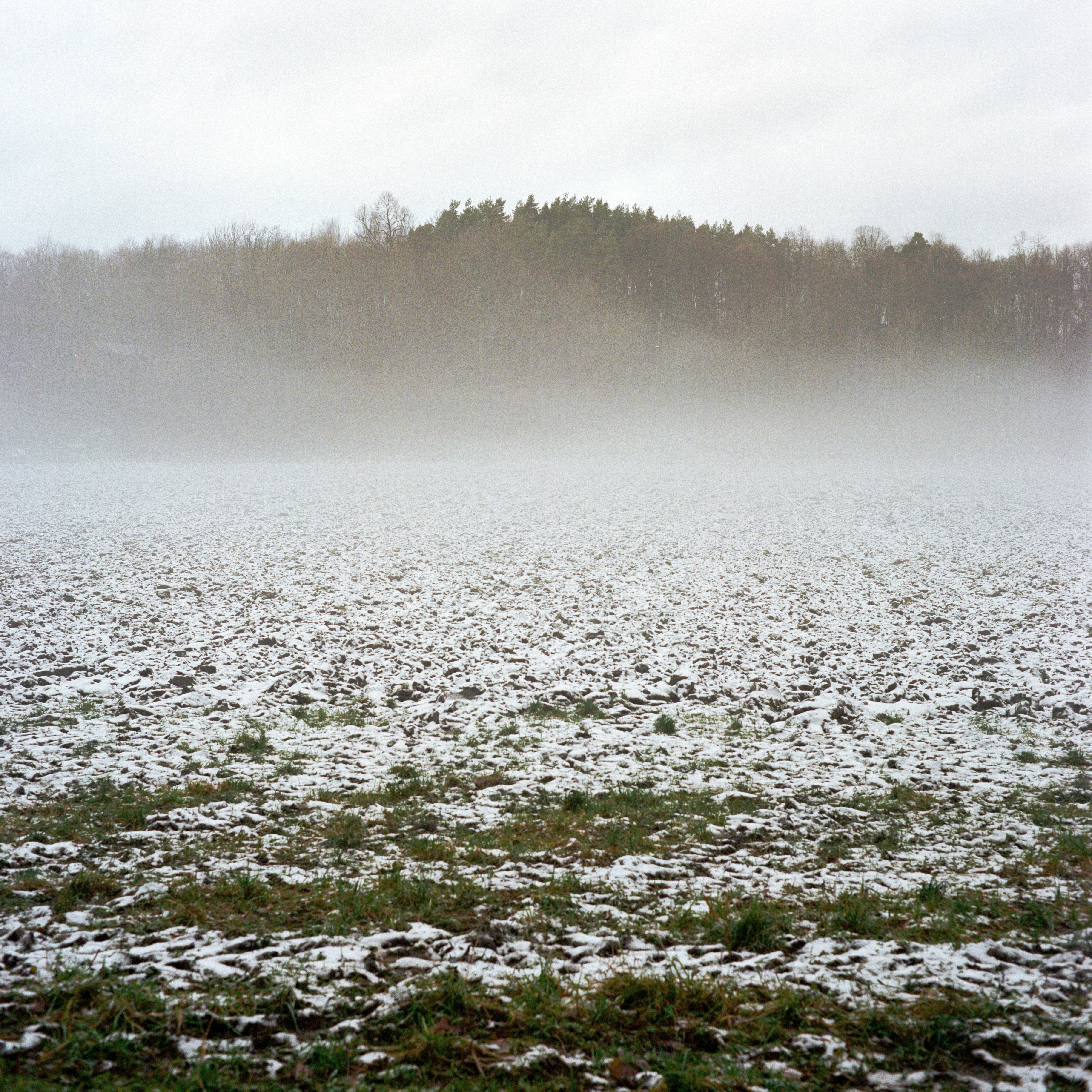 Free Unsplash photo from Ilya  Ilyukhin