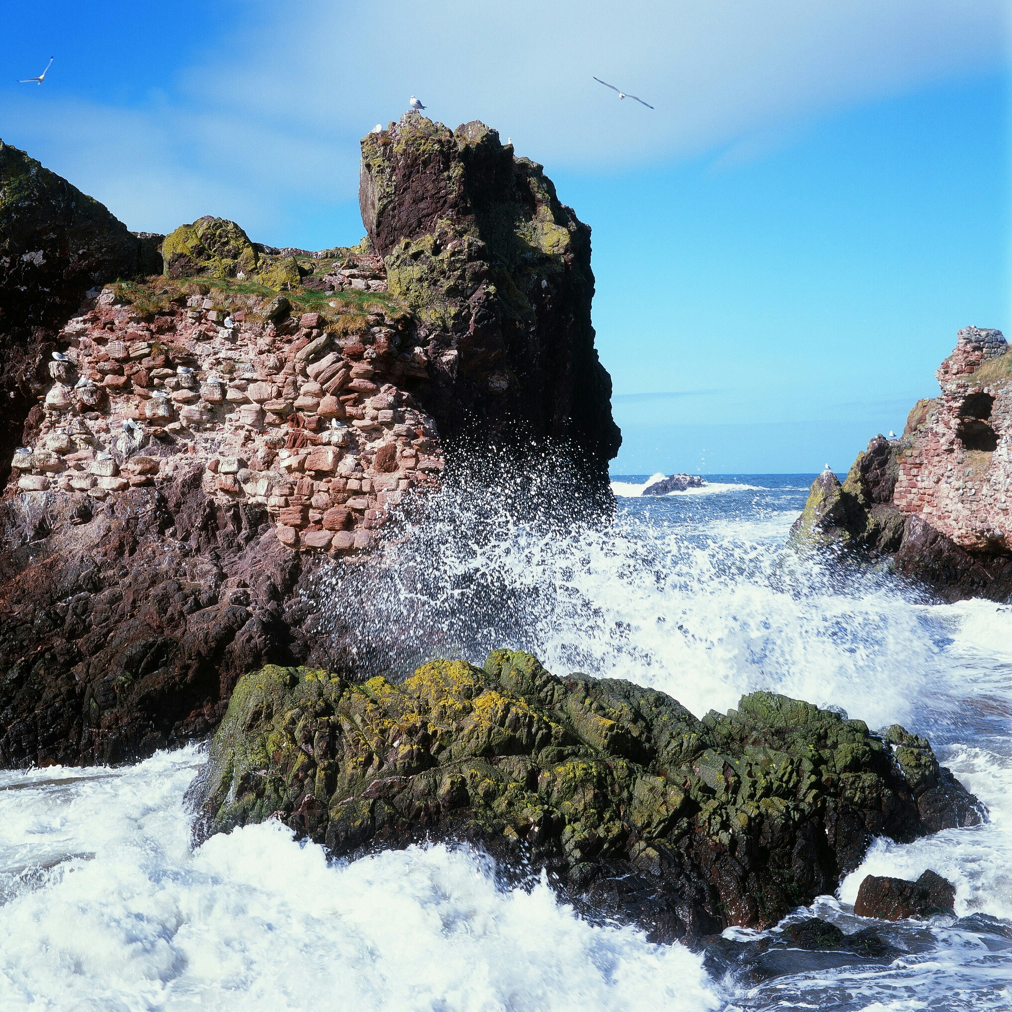 Free Unsplash photo from Ilya  Ilyukhin