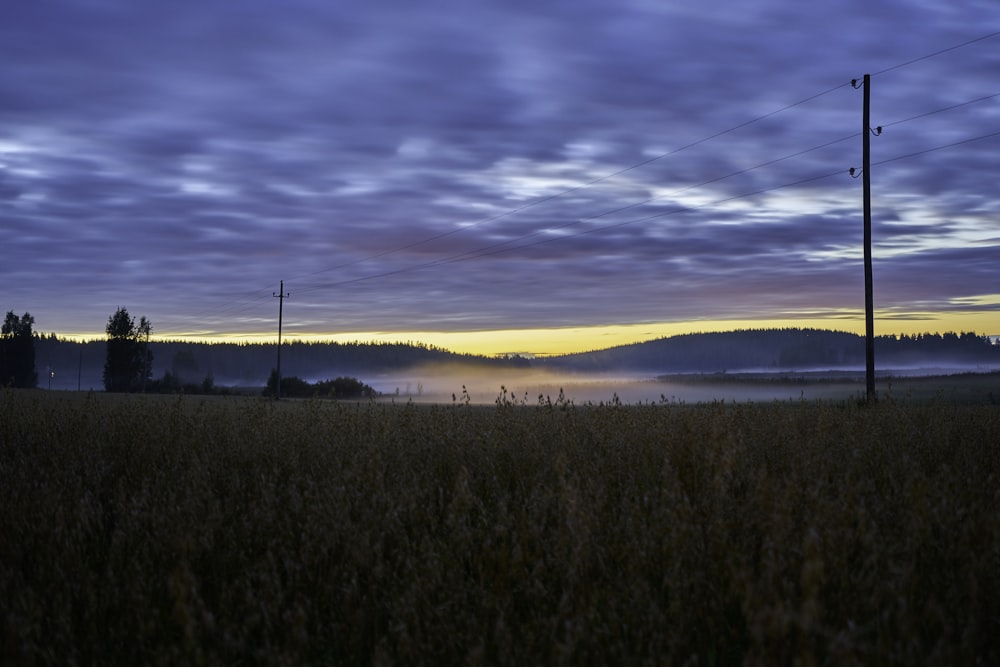 Panoramablick auf braune Grasfelder