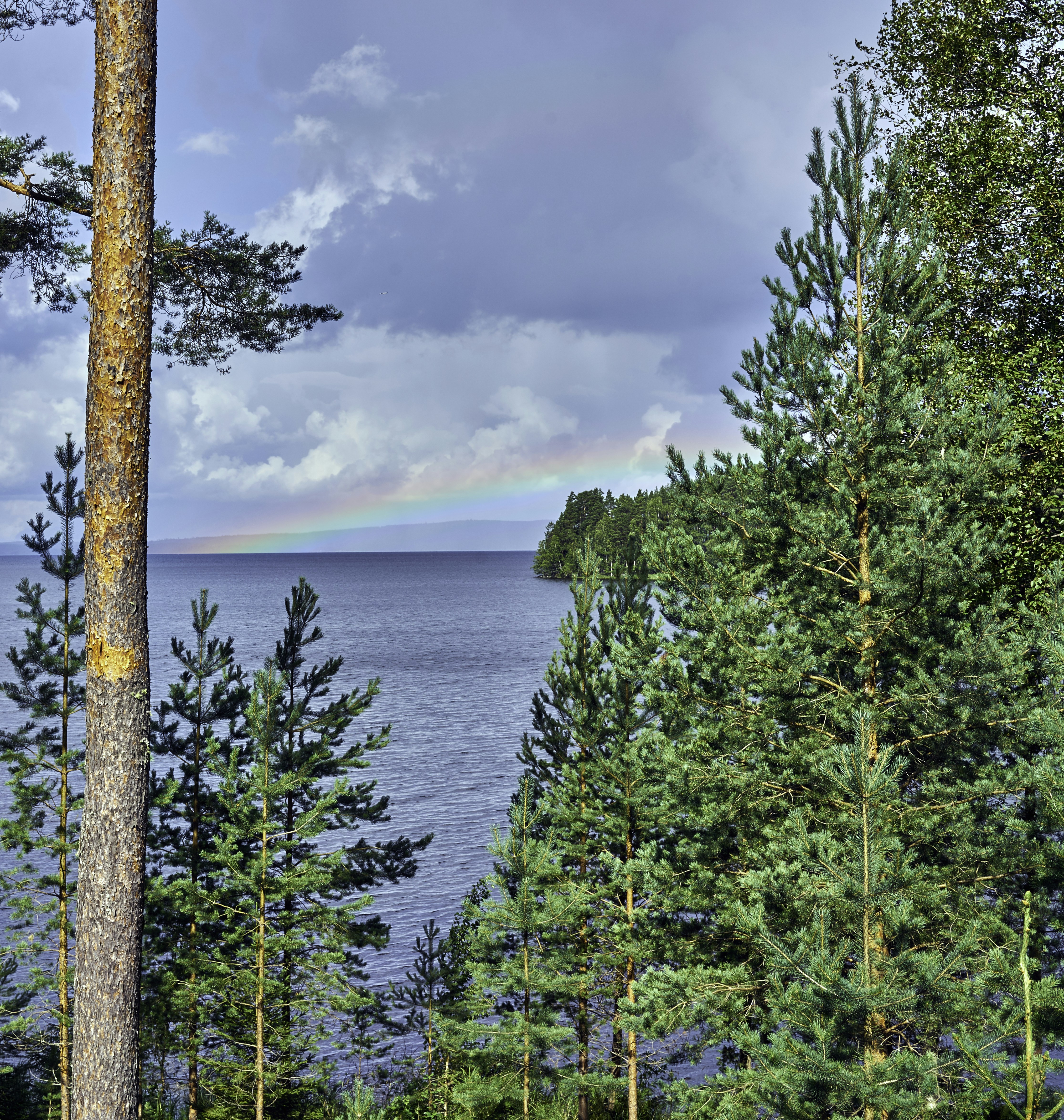 Free Unsplash photo from Tommi Saltiola