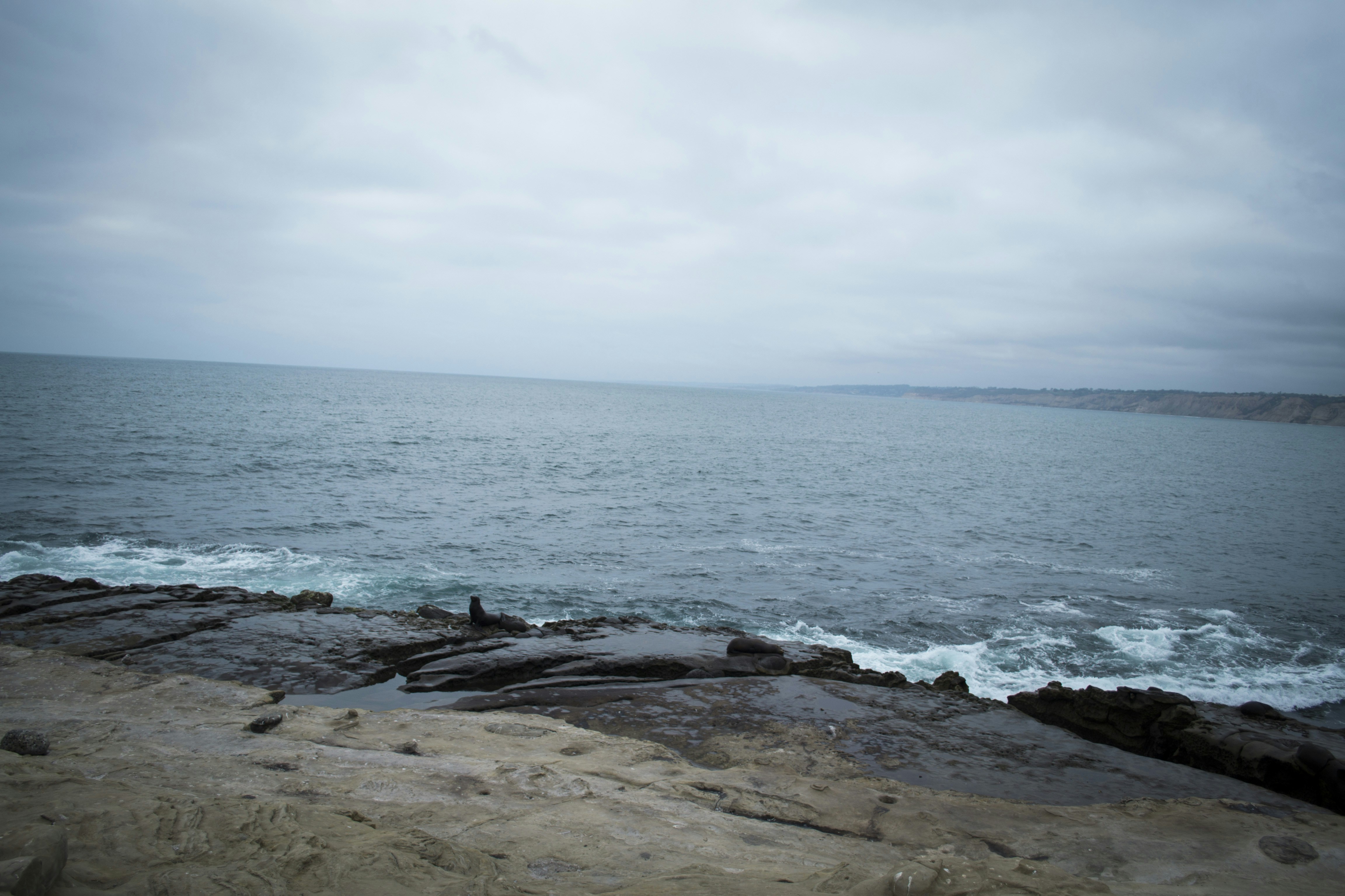 Free Unsplash photo from Bethany Stephens