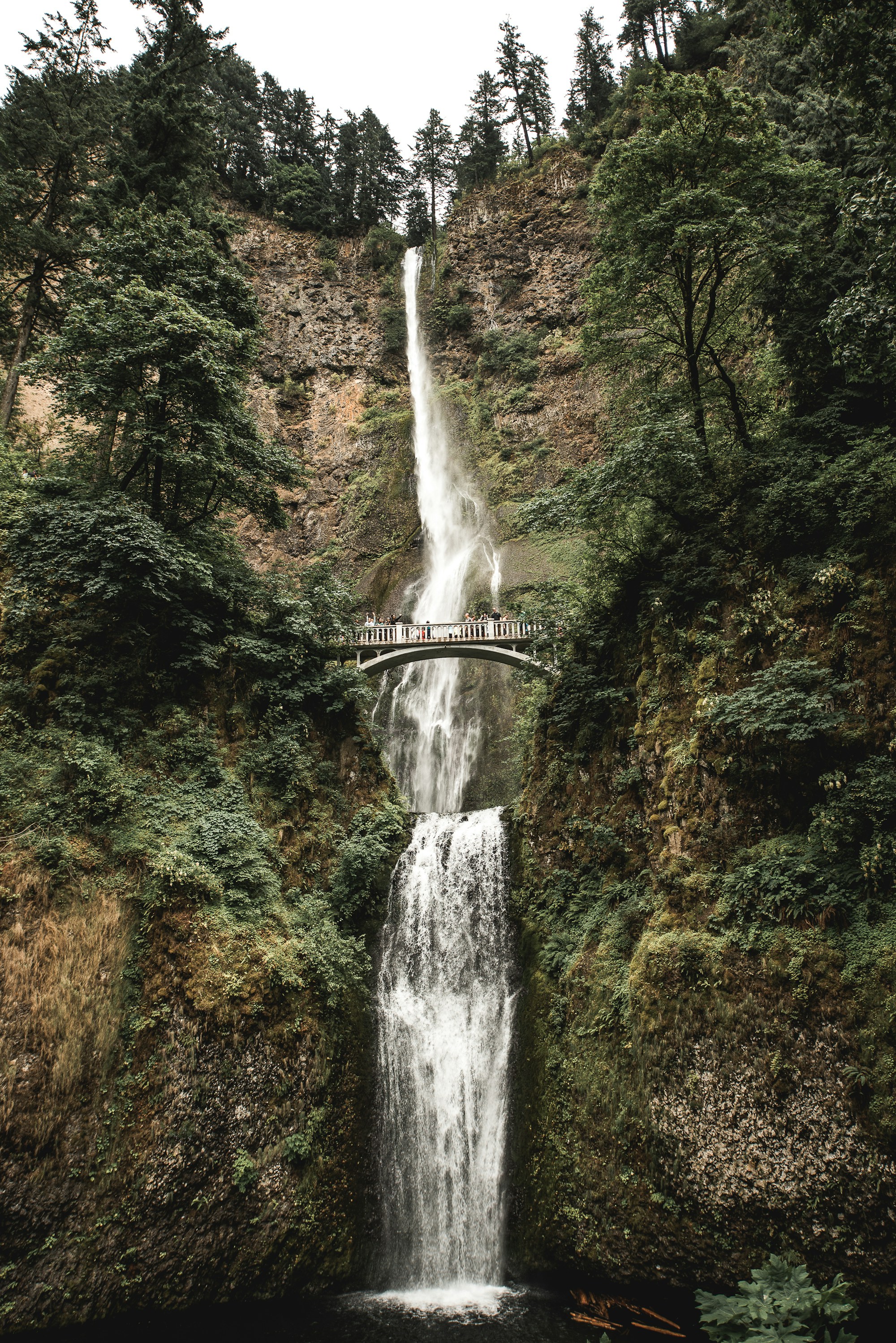 Exploring Portland: A Handy Travel Guide
