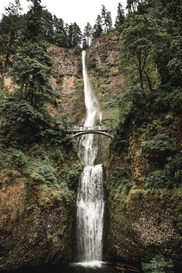 Exploring Portland: A Handy Travel Guide