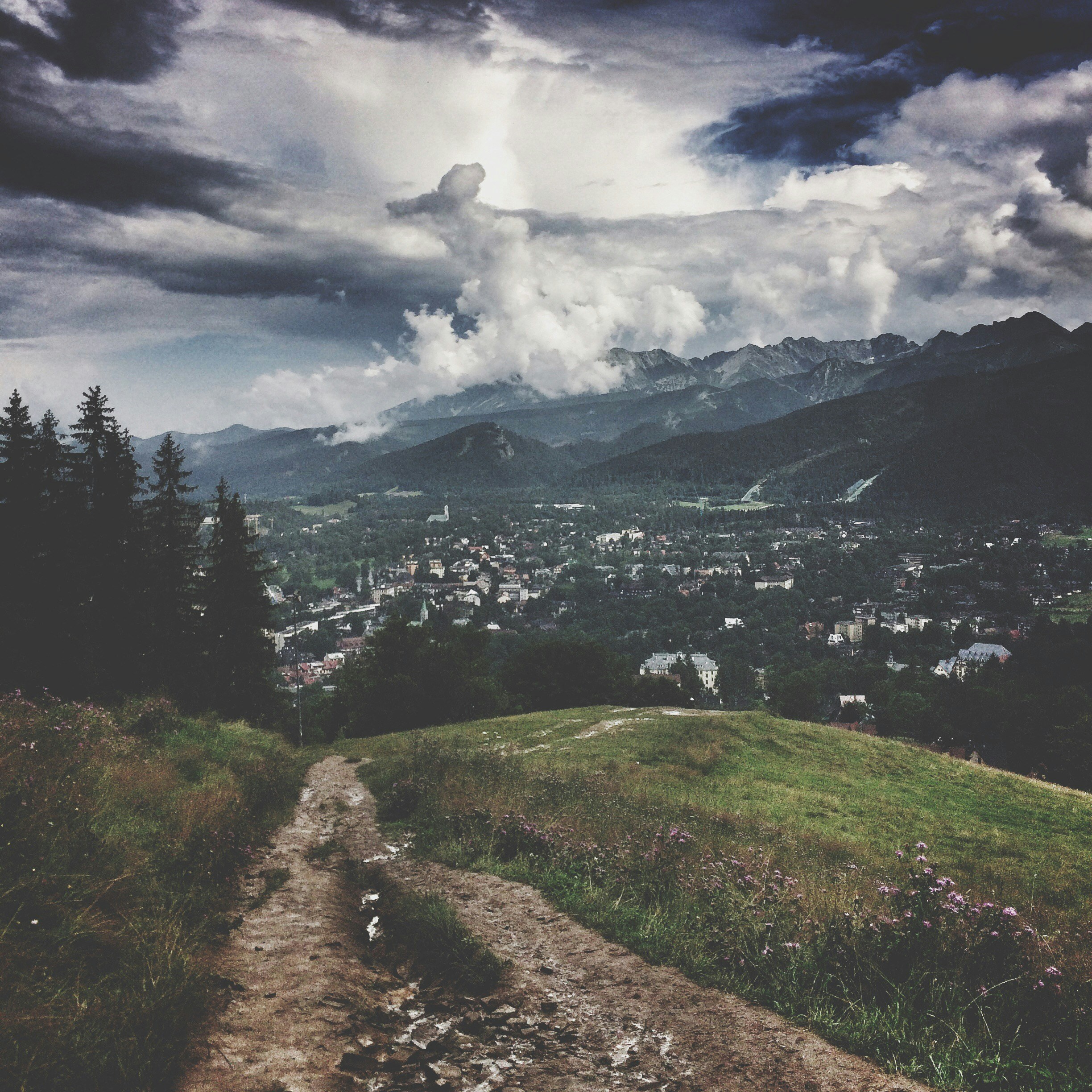 Free Unsplash photo from Wojciech Piejko