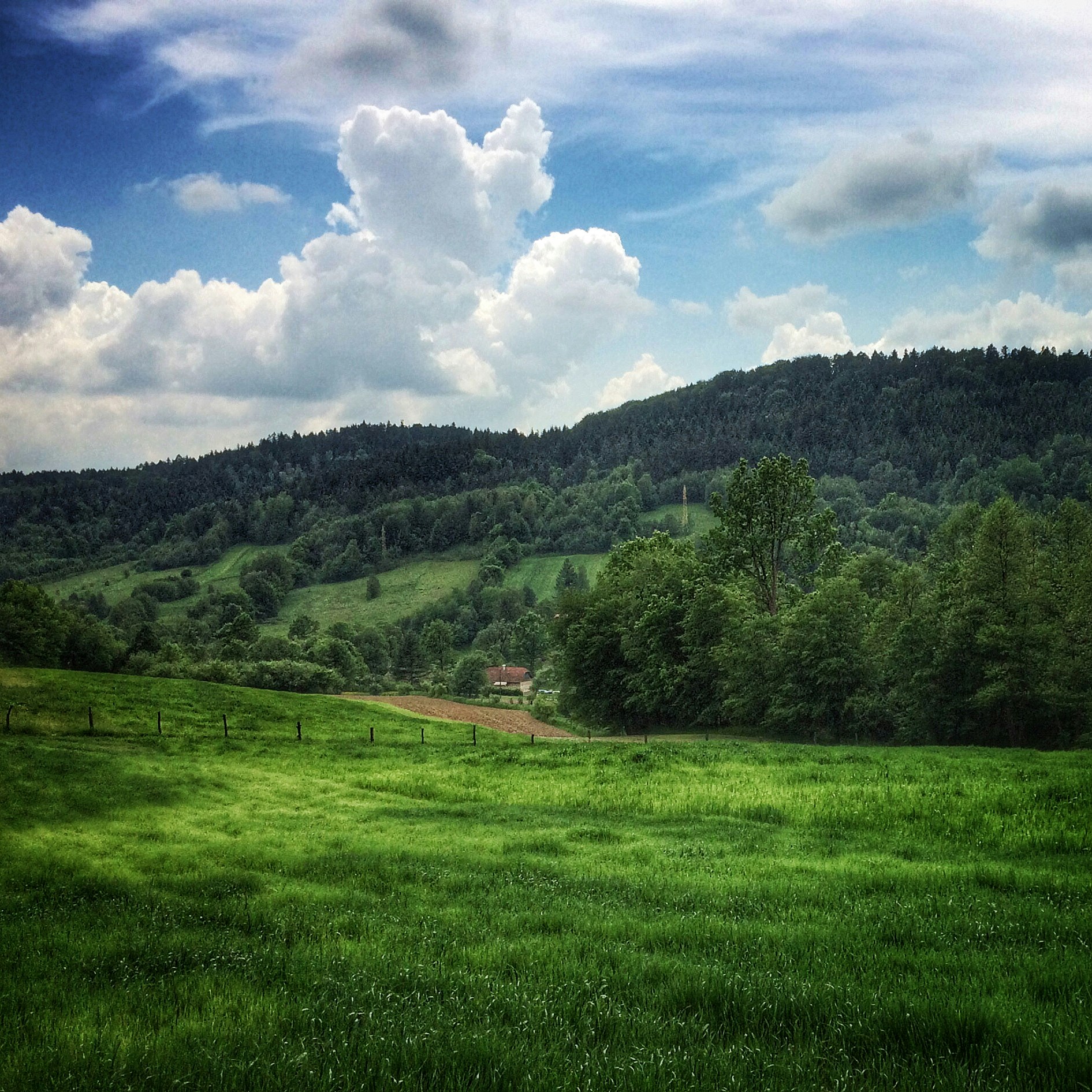 Free Unsplash photo from Wojciech Piejko