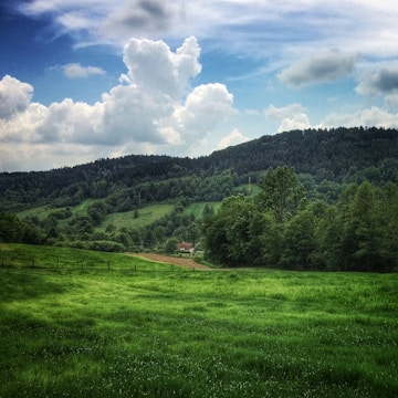 A lush green landscape with native plants and a small eco-friendly building nestled among trees.