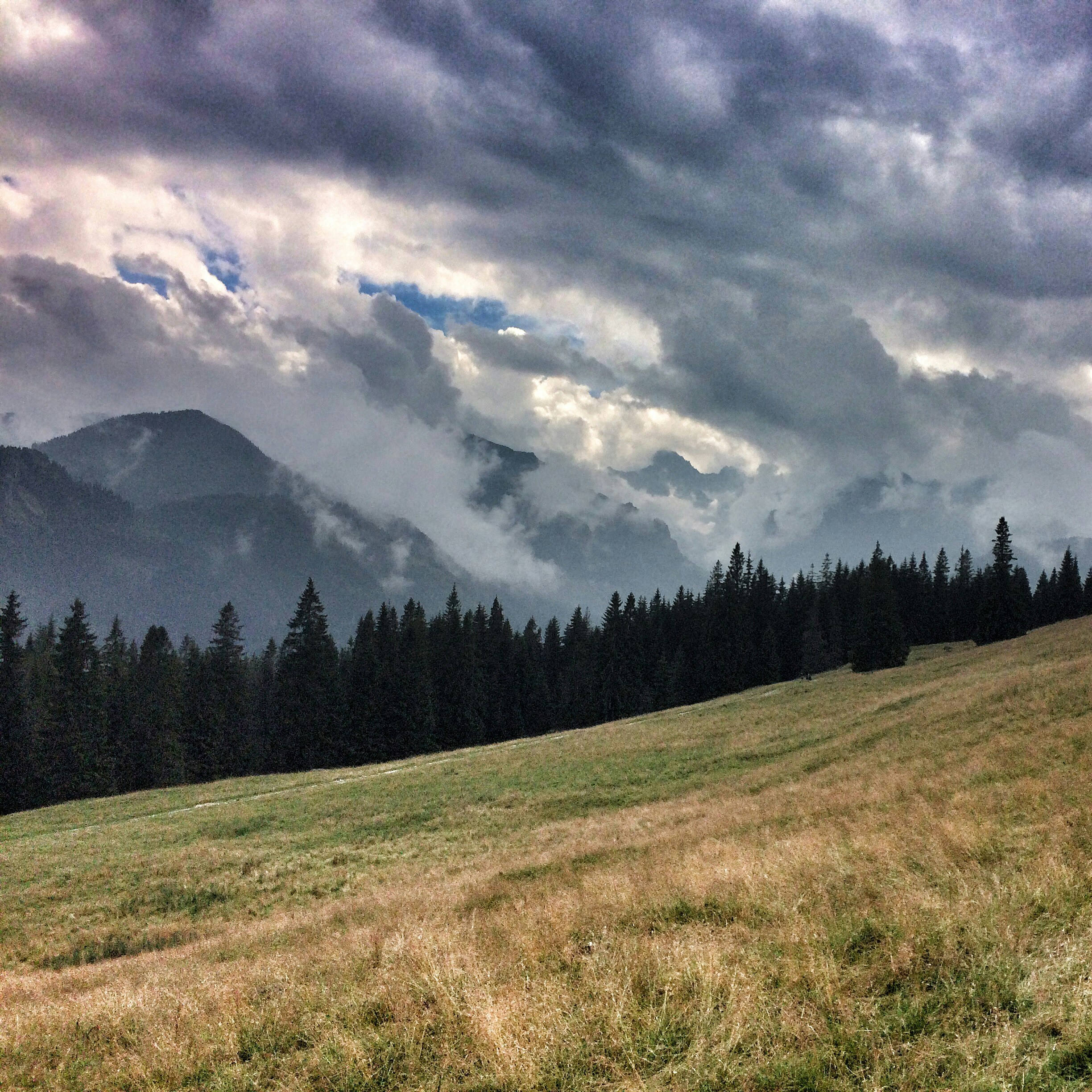 Free Unsplash photo from Wojciech Piejko