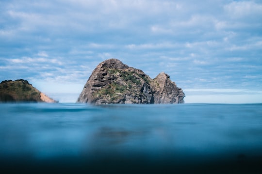 brown rock formation on water in Piha New Zealand