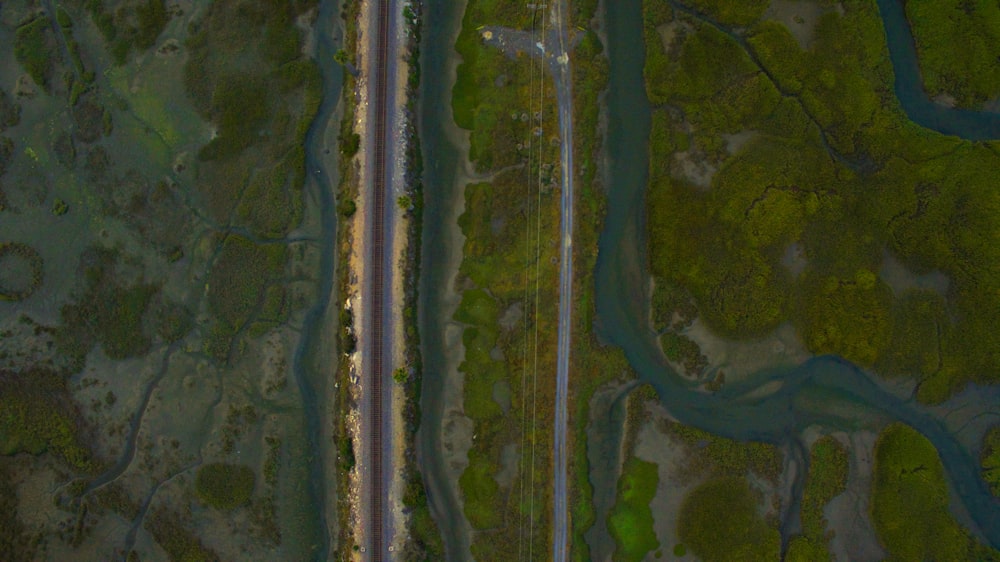 aerial photography of green field and body of water