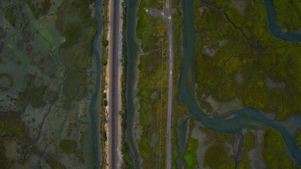 Fotografía aérea de campo verde y cuerpo de agua