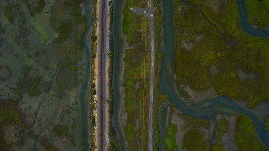 photo of Encinitas Forest near North Park