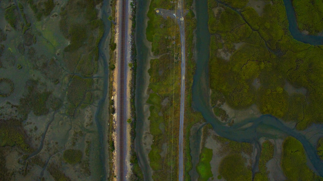 photo of Encinitas Forest near Black's Beach