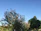 A lush garden with freshly planted flowers and neatly trimmed shrubs under a clear blue sky.