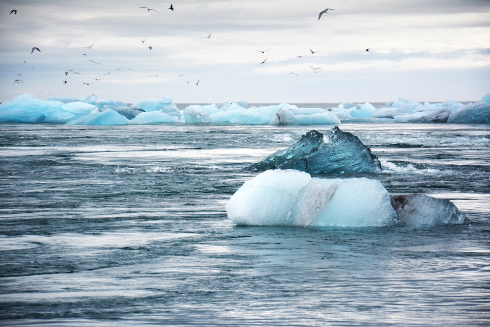 iceberg on water