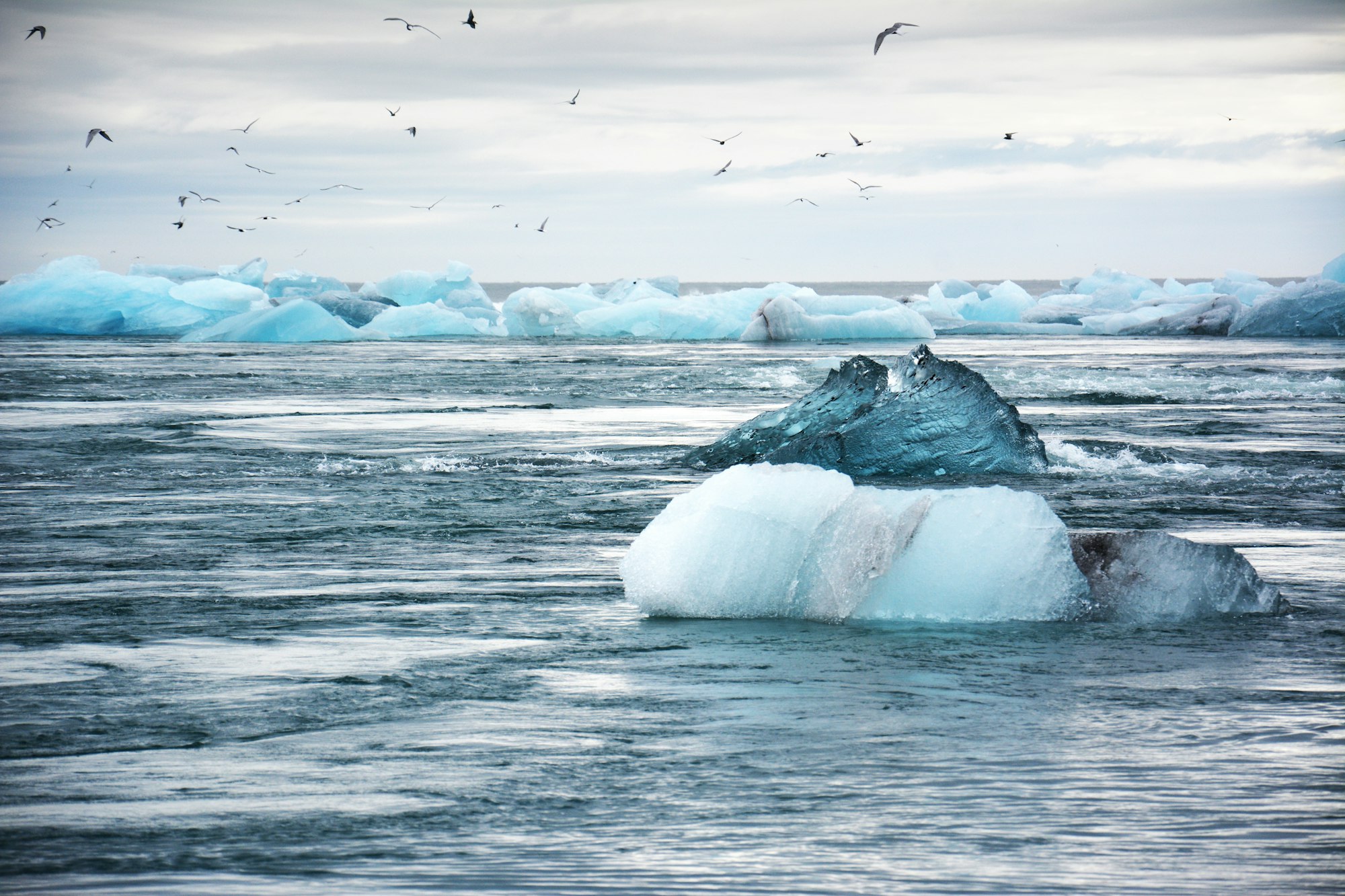 Iceland icebergs in water