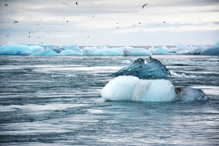 Melting Hearts: In a rapidly warming Arctic,