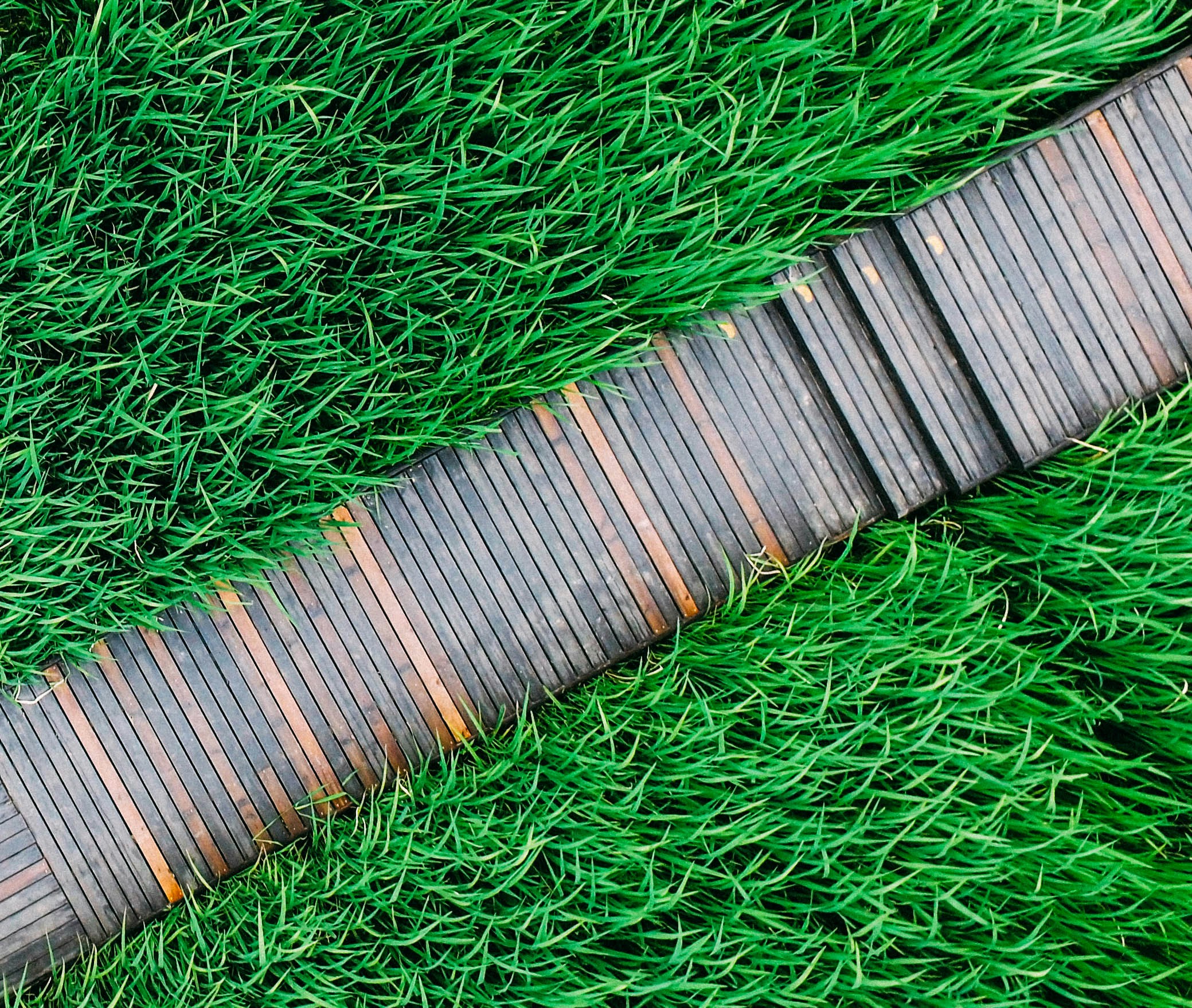 Free Unsplash photo from 宇 韩