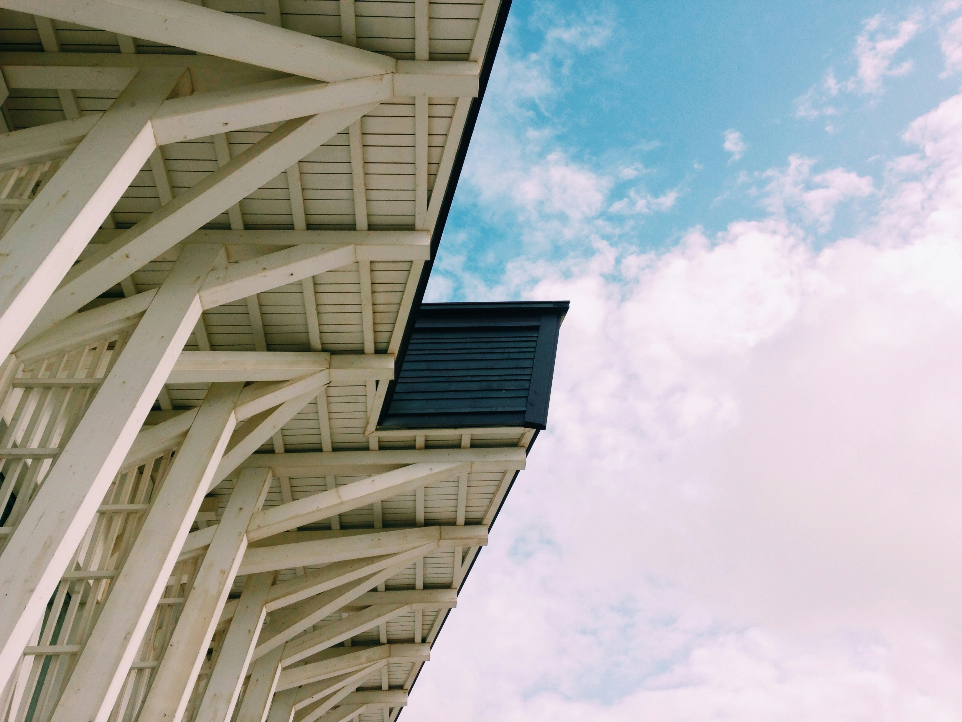 Free Unsplash photo from Afonso Vieira