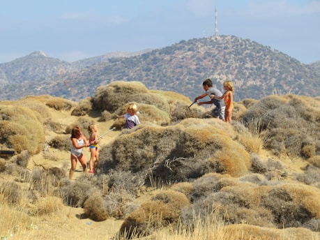 A group of children are playing among dry, bushy vegetation in a sandy and desert-like environment. In the background, arid hills or mountains rise under a hazy sky. The children appear to be exploring or play-acting with sticks, suggesting imaginative play.