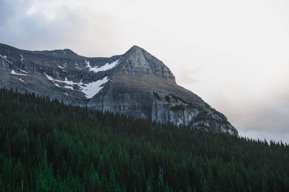 green trees and clear mountain