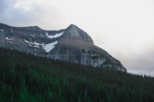 green trees and clear mountain in Glacier National Park United States