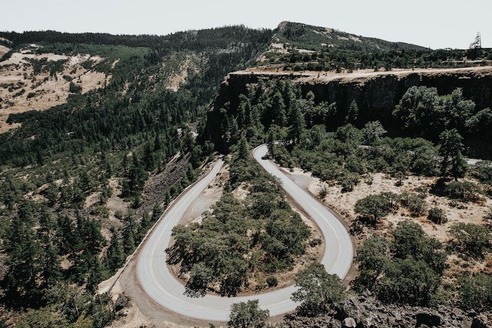 Foto aérea de una carretera en forma de U rodeada de árboles durante el día