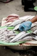 person wearing blue cellophane about to pick fish on table